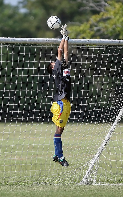 它对比赛结 它对比赛结