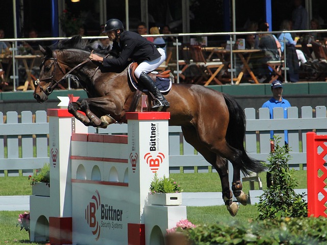 的成功案例 的成功案例