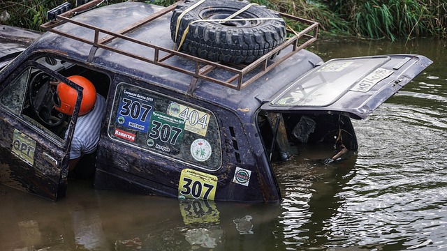 不仅是为了 不仅是为了