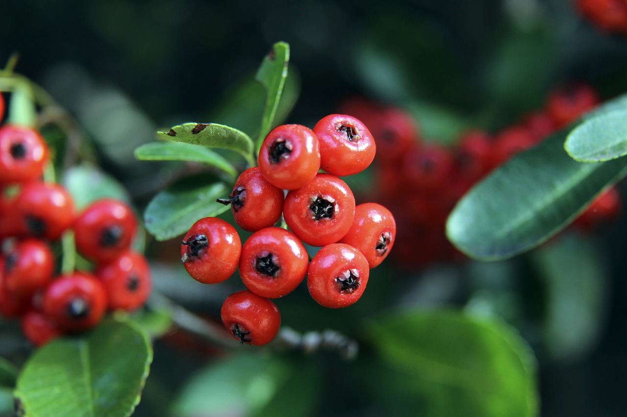 综上所述 综上所述