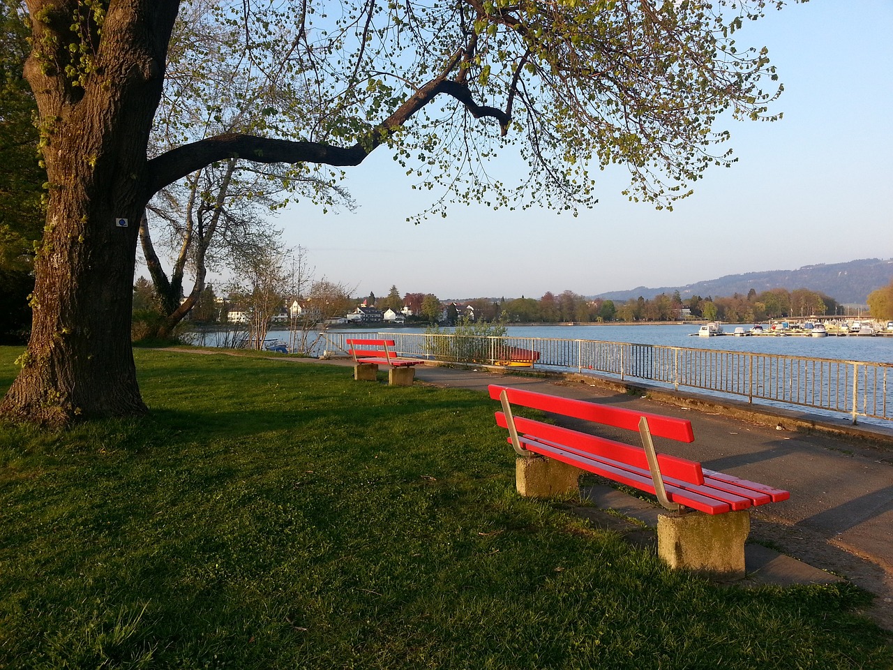 整体健康环 整体健康环