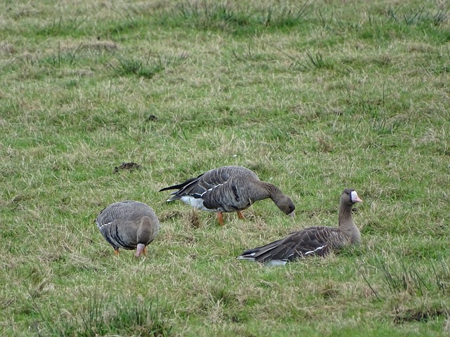 降低受伤风 降低受伤风