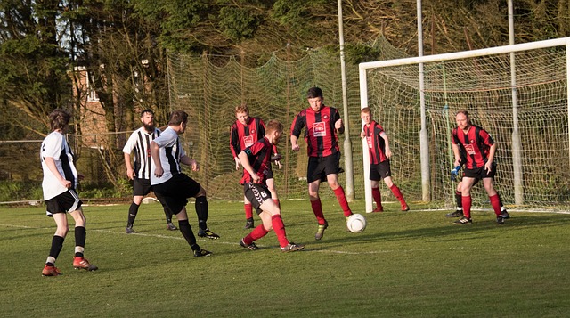 的辉煌战绩 的辉煌战绩