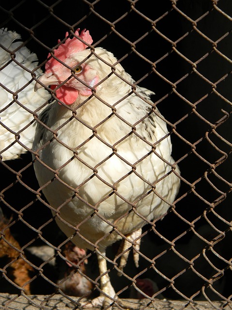 精准的调度 精准的调度